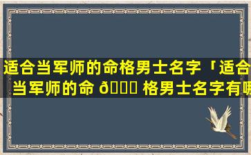 适合当军师的命格男士名字「适合当军师的命 🐞 格男士名字有哪些」